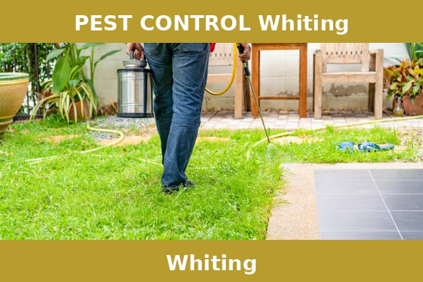 PEST CONTROL Whiting